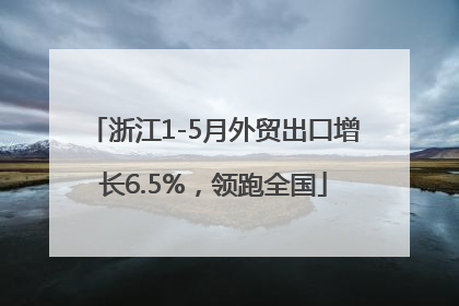 浙江1-5月外贸出口增长6.5%，领跑全国