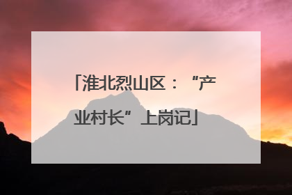 淮北烈山区：“产业村长”上岗记