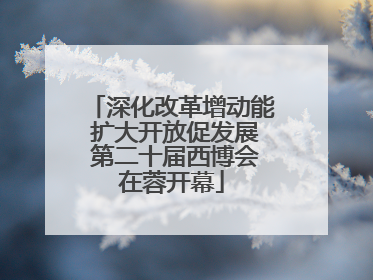 深化改革增动能 扩大开放促发展 第二十届西博会在蓉开幕