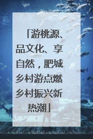游桃源、品文化、享自然，肥城乡村游点燃乡村振兴新热潮