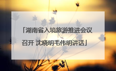 湖南省入境旅游推进会议召开 沈晓明毛伟明讲话
