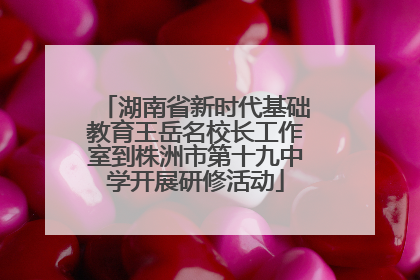 湖南省新时代基础教育王岳名校长工作室到株洲市第十九中学开展研修活动