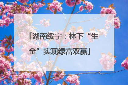 湖南绥宁：林下“生金”实现绿富双赢