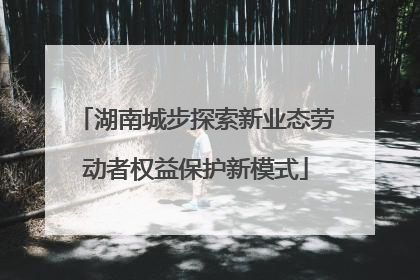 湖南城步探索新业态劳动者权益保护新模式