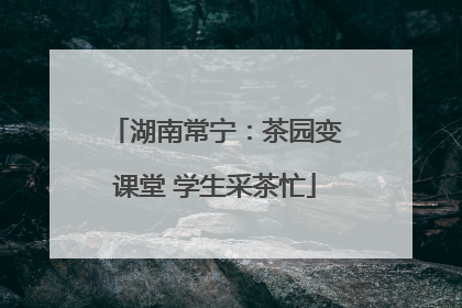 湖南常宁：茶园变课堂 学生采茶忙