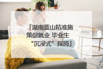 湖南蓝山精准施策促就业 毕业生“沉浸式”探岗