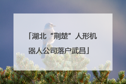 湖北“荆楚”人形机器人公司落户武昌