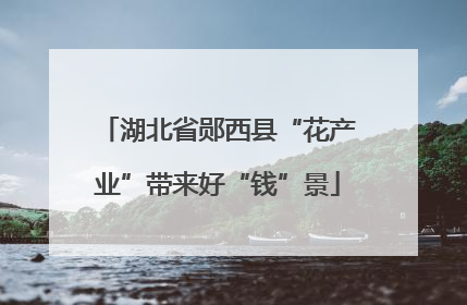 湖北省郧西县“花产业”带来好“钱”景