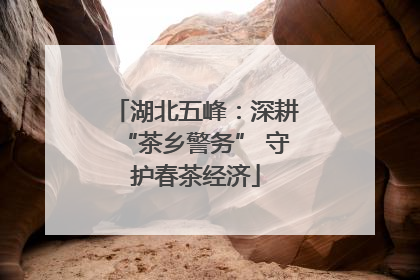 湖北五峰：深耕“茶乡警务” 守护春茶经济