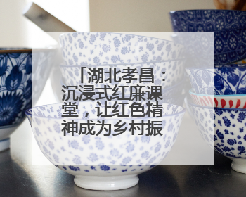 湖北孝昌：沉浸式红廉课堂，让红色精神成为乡村振兴“引擎”