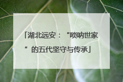 湖北远安：“唢呐世家”的五代坚守与传承