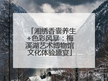 湘绣香囊养生+色彩风暴：梅溪湖艺术博物馆文化体验盛宴