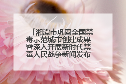 湘潭市巩固全国禁毒示范城市创建成果暨深入开展新时代禁毒人民战争新闻发布会答记者问摘录