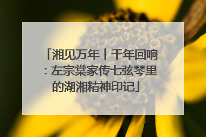 湘见万年丨千年回响：左宗棠家传七弦琴里的湖湘精神印记