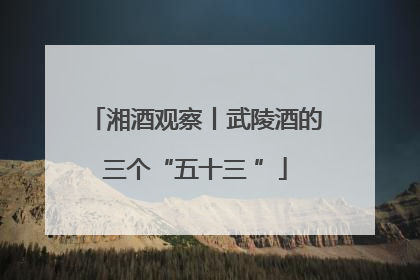 湘酒观察丨武陵酒的三个“五十三 ”