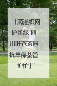 滴灌织网护新绿 四川旺苍茶园抗旱保茶管护忙