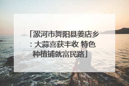 漯河市舞阳县姜店乡：大蒜喜获丰收 特色种植铺就富民路
