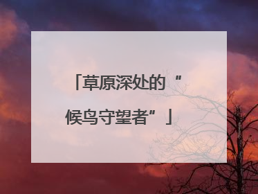 草原深处的“候鸟守望者”