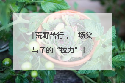 荒野苦行，一场父与子的“拉力”