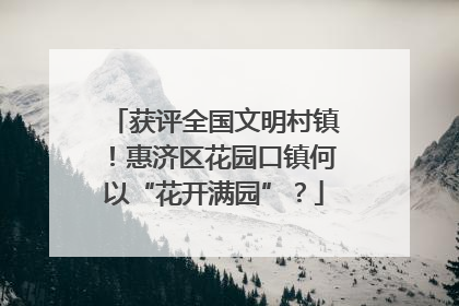获评全国文明村镇！惠济区花园口镇何以“花开满园”？