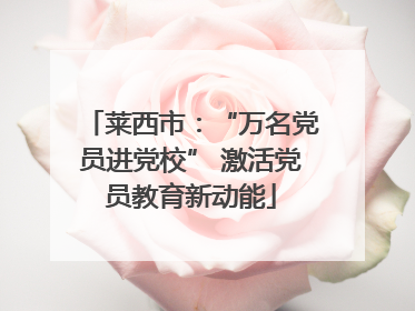 莱西市：“万名党员进党校” 激活党员教育新动能