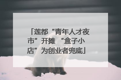莲都“青年人才夜市”开摊 “盒子小店”为创业者兜底