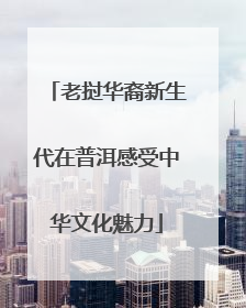 老挝华裔新生代在普洱感受中华文化魅力