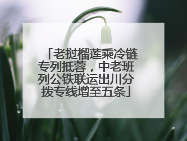 老挝榴莲乘冷链专列抵蓉，中老班列公铁联运出川分拨专线增至五条