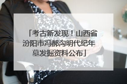 考古新发现！山西省汾阳市冯郝沟明代纪年墓发掘资料公布