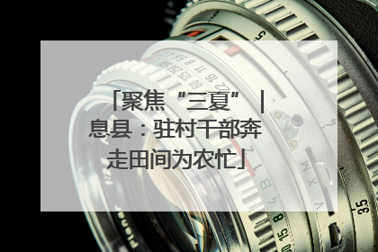 聚焦“三夏”｜息县：驻村干部奔走田间为农忙