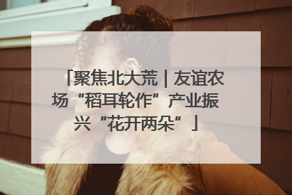 聚焦北大荒｜友谊农场“稻耳轮作”产业振兴“花开两朵”