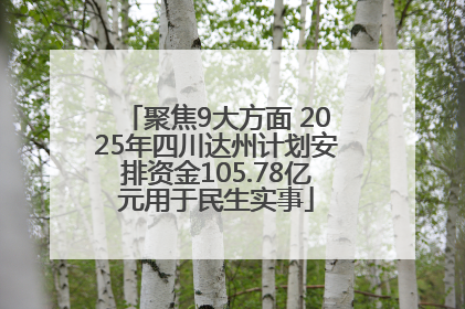 聚焦9大方面 2025年四川达州计划安排资金105.78亿元用于民生实事