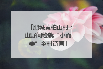 肥城黄柏山村：山野间绘就“小而美”乡村诗画