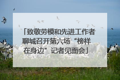 致敬劳模和先进工作者 聊城召开第六场“榜样在身边”记者见面会