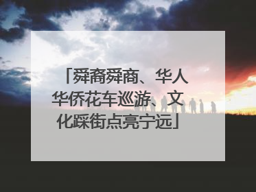 舜裔舜商、华人华侨花车巡游、文化踩街点亮宁远