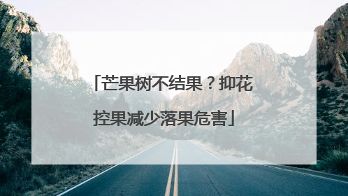 芒果树不结果？抑花控果减少落果危害