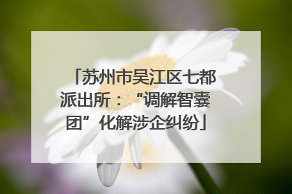 苏州市吴江区七都派出所：“调解智囊团”化解涉企纠纷