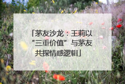 茅友沙龙：王莉以“三重价值”与茅友共探情感逻辑
