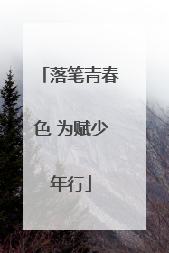 落笔青春色 为赋少年行