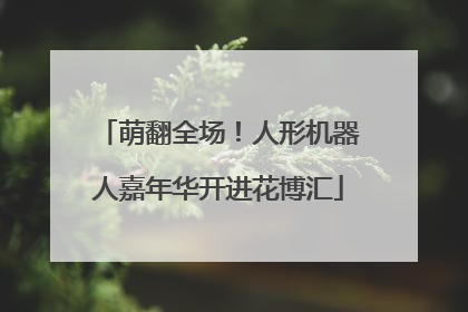萌翻全场！人形机器人嘉年华开进花博汇
