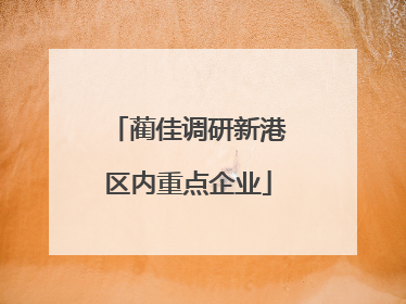 蔺佳调研新港区内重点企业