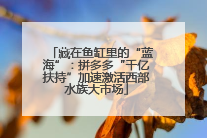 藏在鱼缸里的“蓝海”：拼多多“千亿扶持”加速激活西部水族大市场