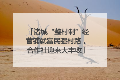 诸城“整村制”经营铺就富民强村路，合作社迎来大丰收