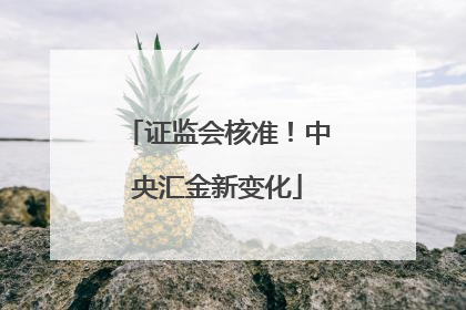 证监会核准！中央汇金新变化