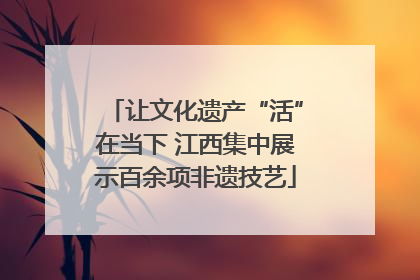 让文化遗产“活”在当下 江西集中展示百余项非遗技艺