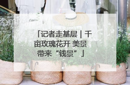 记者走基层｜千亩玫瑰花开 美景带来“钱景”