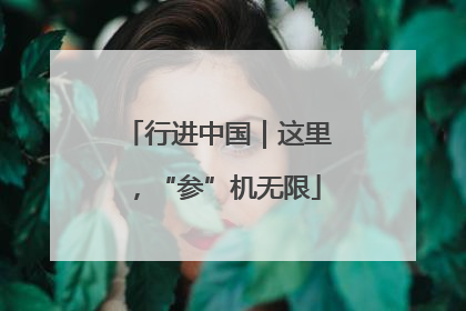 行进中国｜这里，“参”机无限
