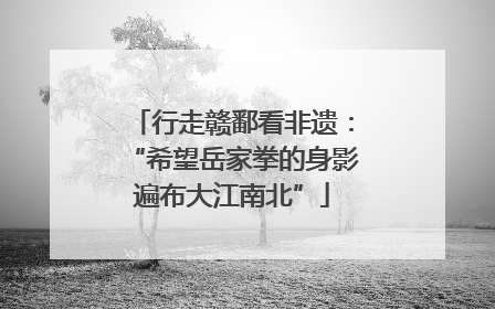 行走赣鄱看非遗：“希望岳家拳的身影遍布大江南北”