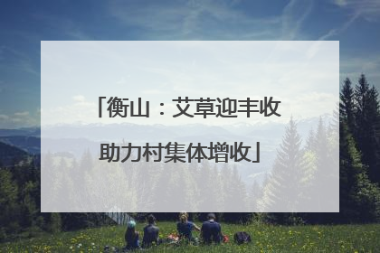 衡山：艾草迎丰收 助力村集体增收