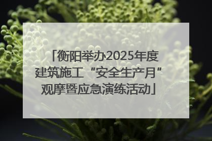 衡阳举办2025年度建筑施工“安全生产月”观摩暨应急演练活动